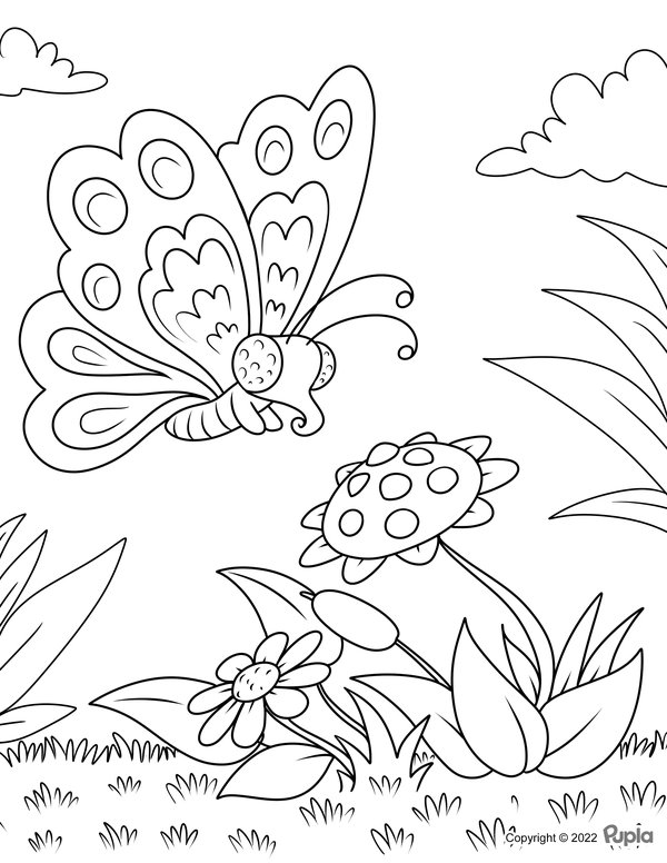 Coloring Page: Flying Butterfly with Flowers