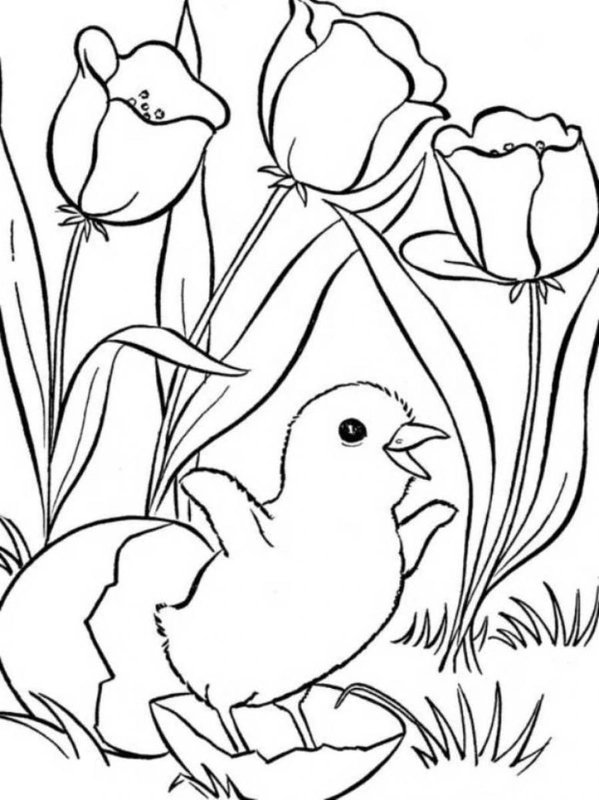Childrens coloring page