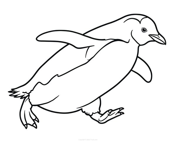 Penguin Race Coloring Page