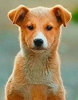 Childrens coloring page