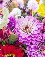 Childrens coloring page