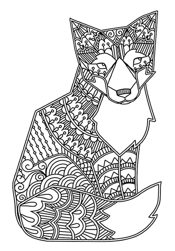 Detailed Gato Coloring Page