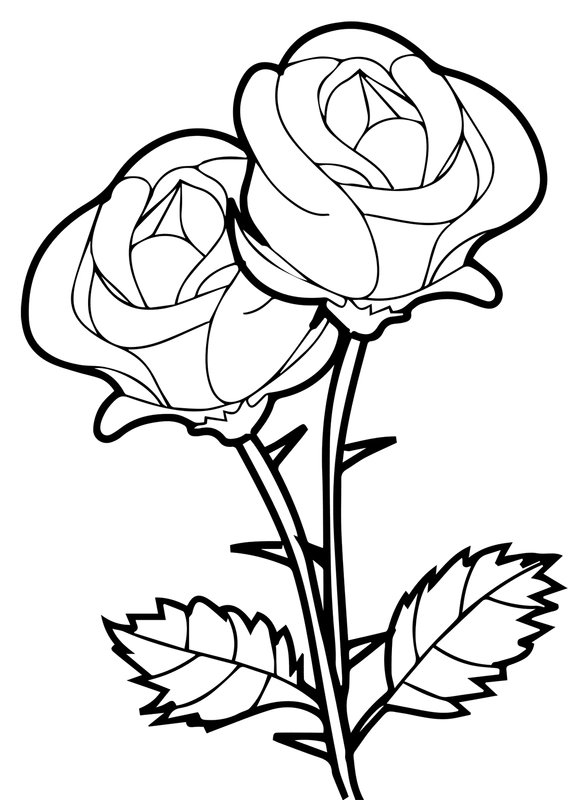 Coloring Page Dos Rosas