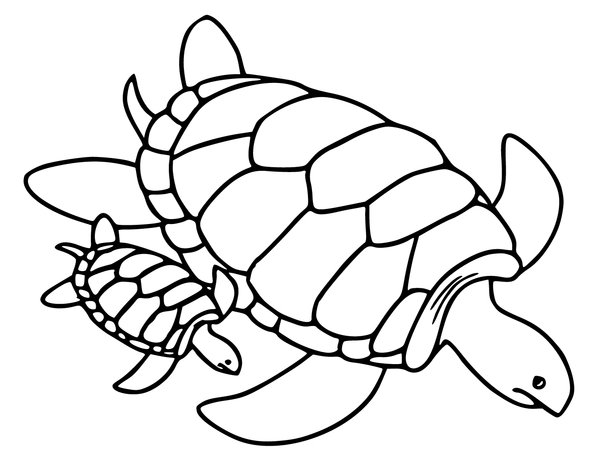 Childrens coloring page