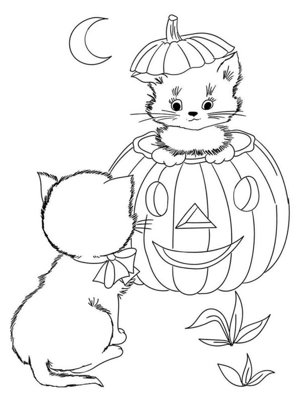 Halloween Cat and Pumpkin Coloring Page