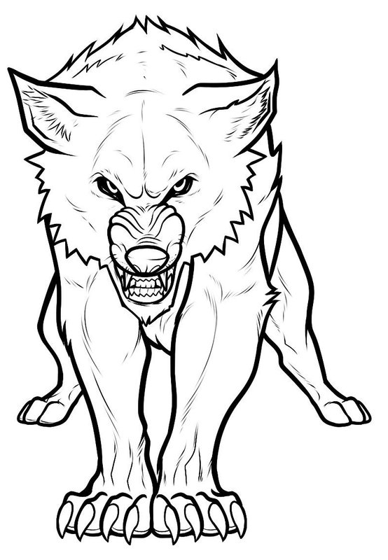 Coloring Page Lobo Artico Enfadado
