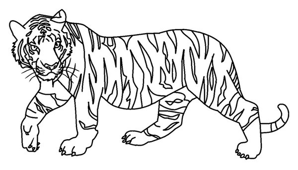 Childrens coloring page