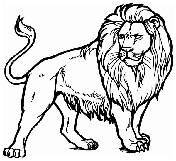 Childrens coloring page