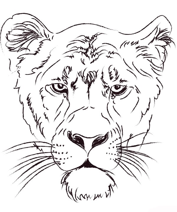 Childrens coloring page