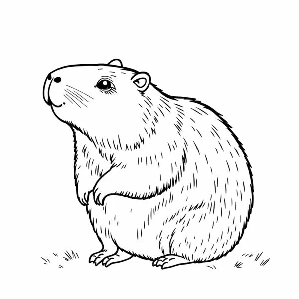 Capibara sentado coloring page for children