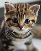 Childrens coloring page