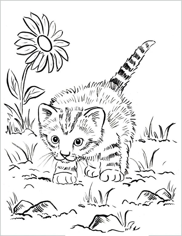 Childrens coloring page