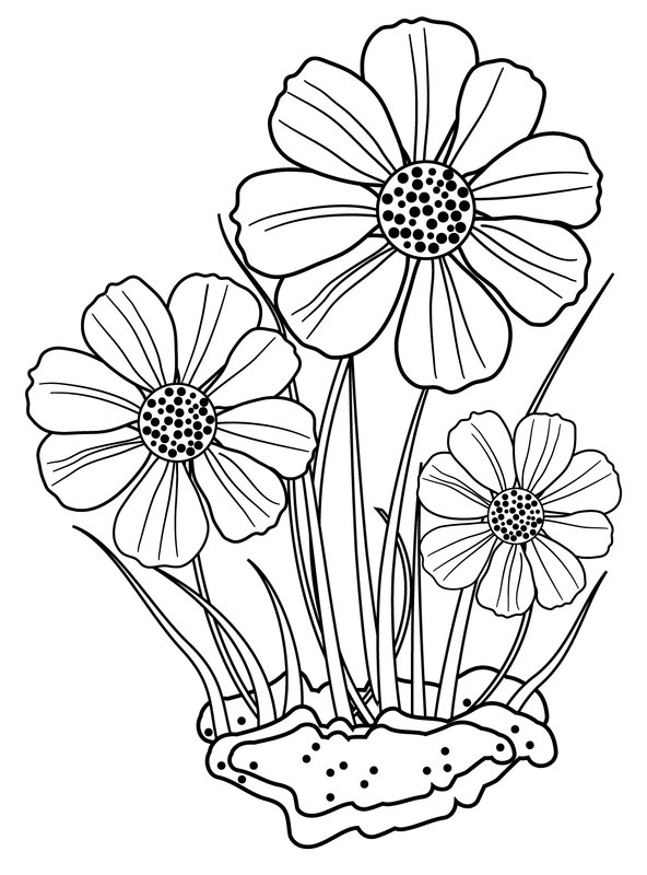Childrens coloring page