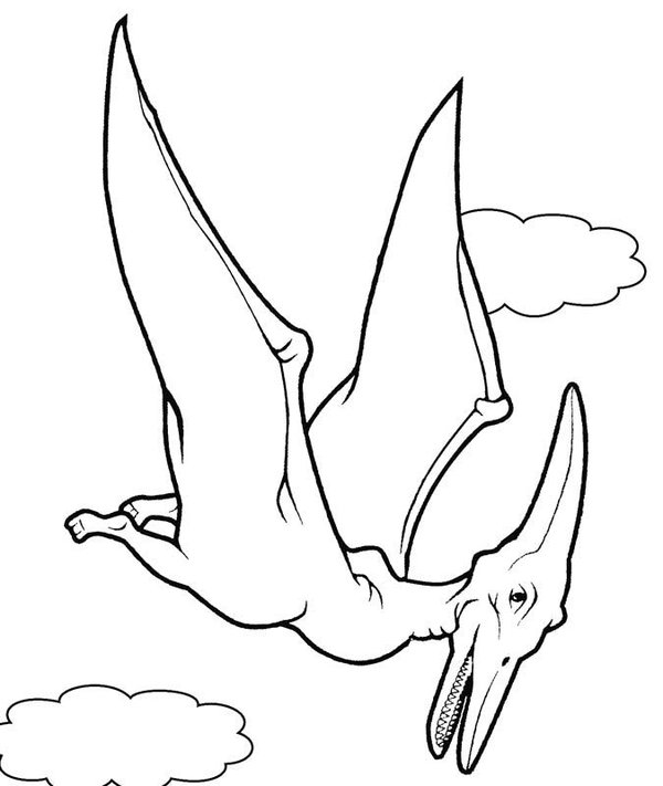 Coloring Page Dinosaur Pterodactyl