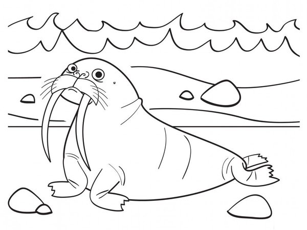 Childrens coloring page