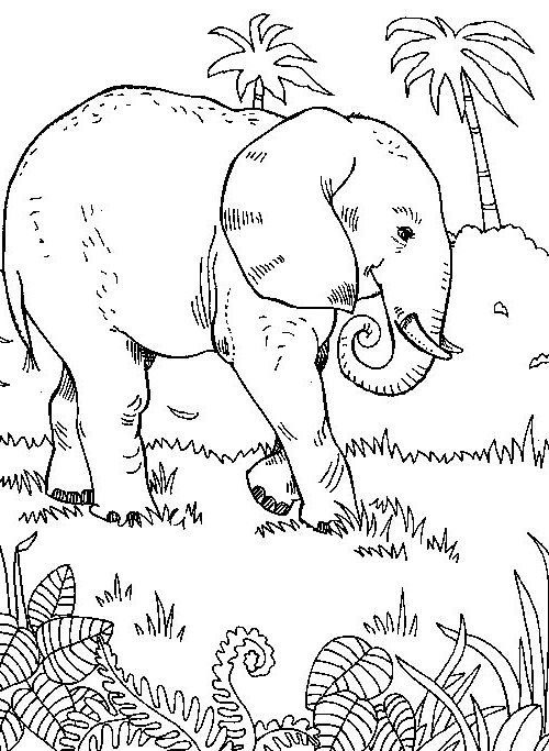 Childrens coloring page