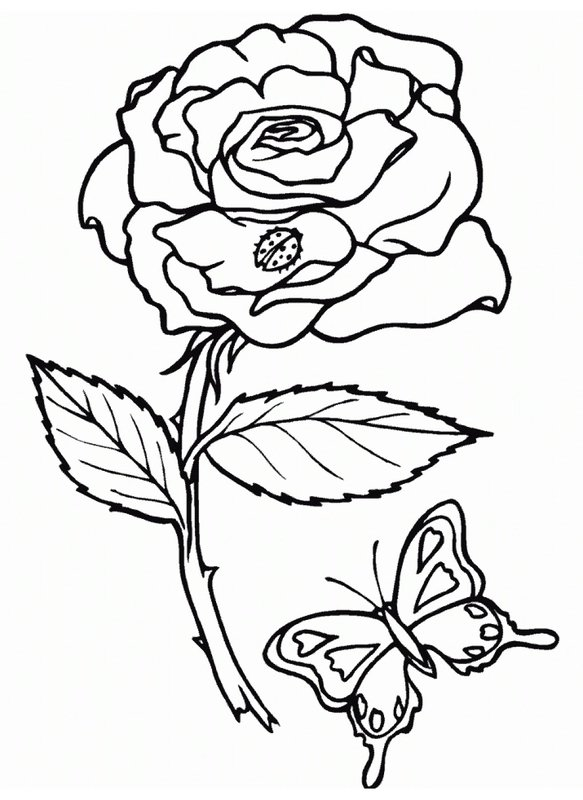 Coloring Page Rose with Ladybug and Butterfly
