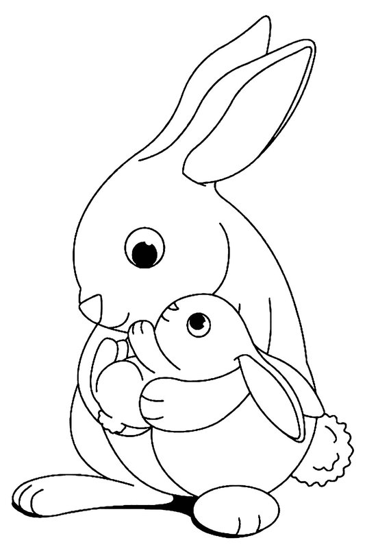 Coloring Page Rabbit Tenant Son Bebe