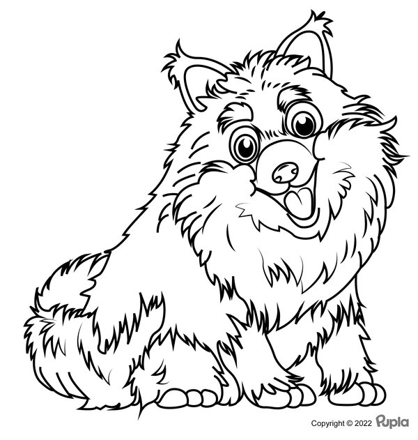 Childrens coloring page