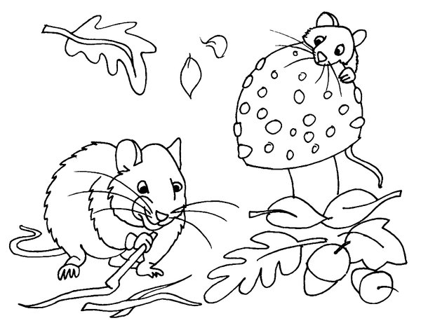 Childrens coloring page