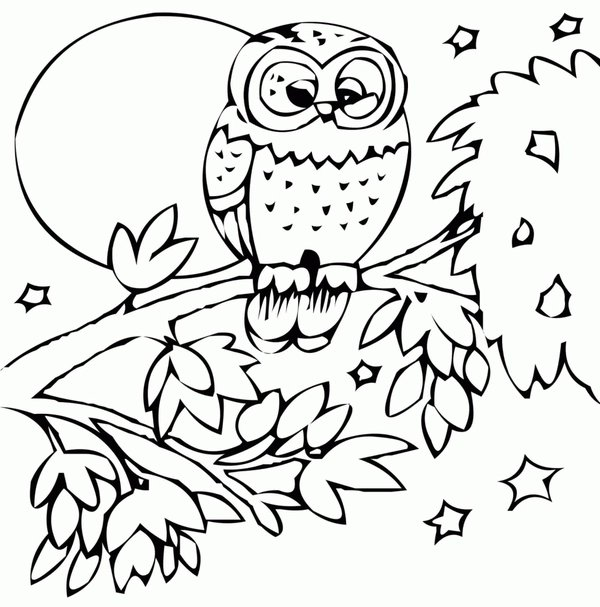 Autumn Owl Coloring Page in a Tree