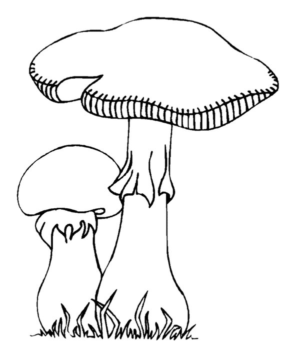 Childrens coloring page