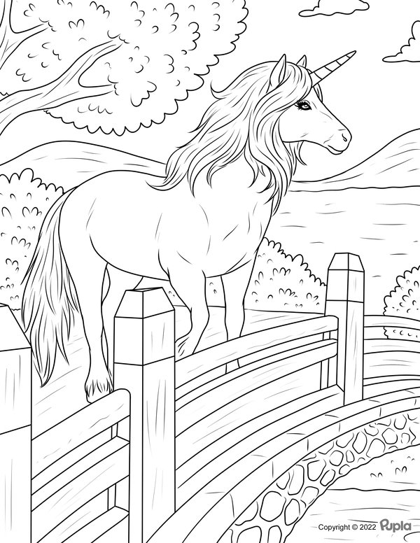 Coloring Page Cloture En Forme De Licorne