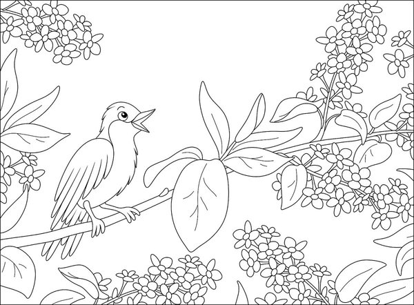 Childrens coloring page