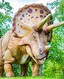 Dinosaur Coloring Page