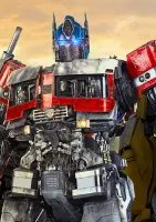 Please provide the Dutch text.