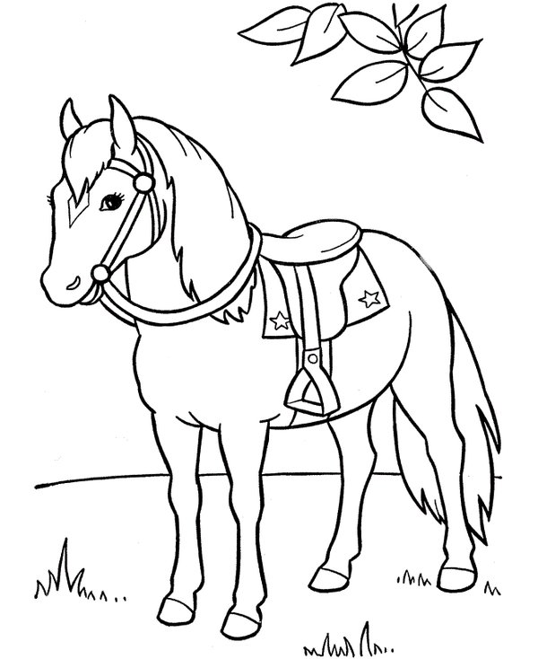 Coloring Page Horse with Saddle