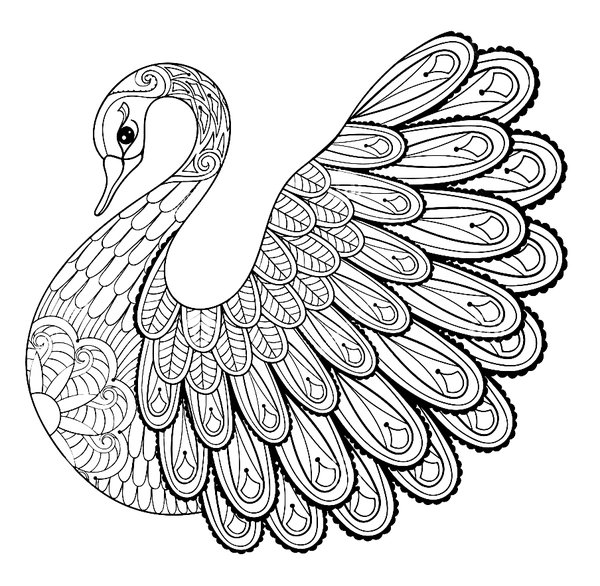 Coloring Page Birds White Swan Detailed