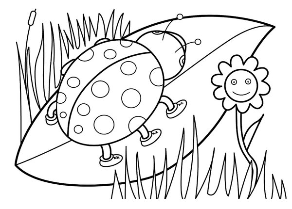 Coloring Page Ladybird on Leaf Stem