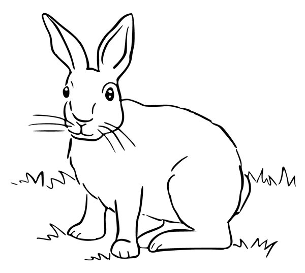 Childrens coloring page