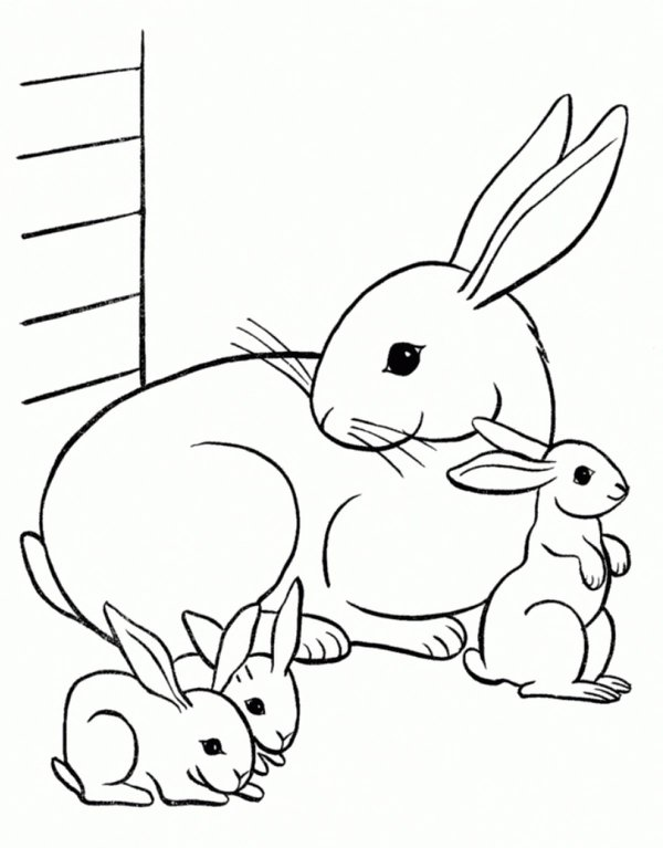 Coloring page Mutterhäschen with three baby bunnies