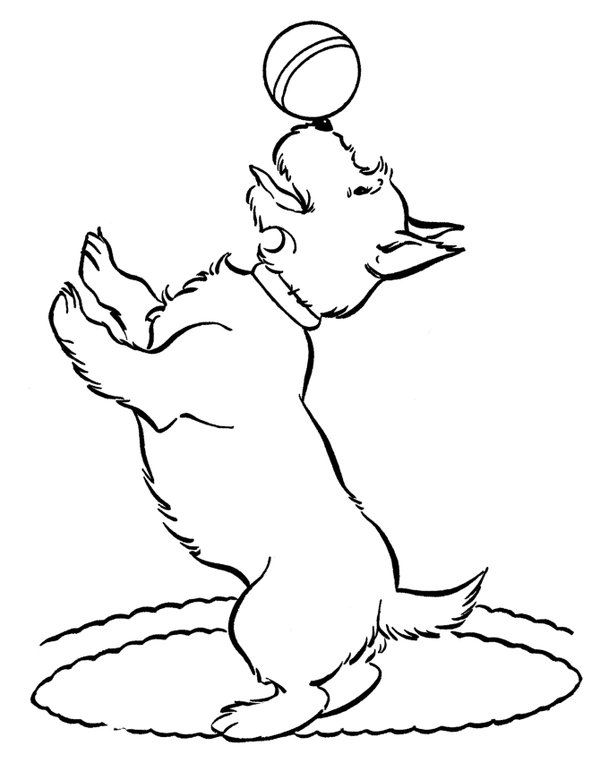 Coloring Page Dog with Ball