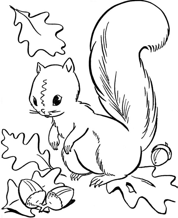 Childrens coloring page