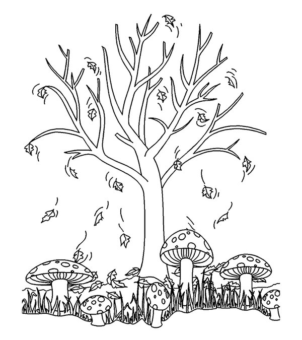 Autumn Tree with Mushrooms Coloring Page
