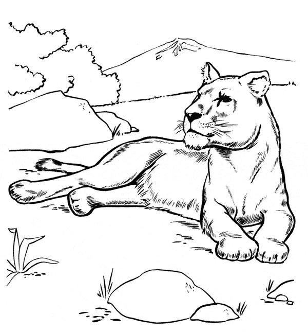 Coloring page Lügender female lion
