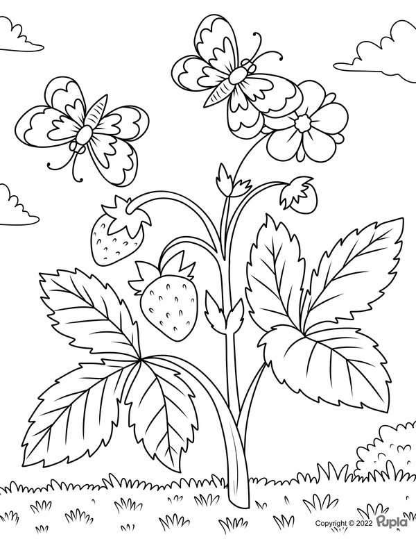 Childrens coloring page