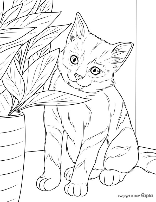 Feuille de coloriage Chat avec plante