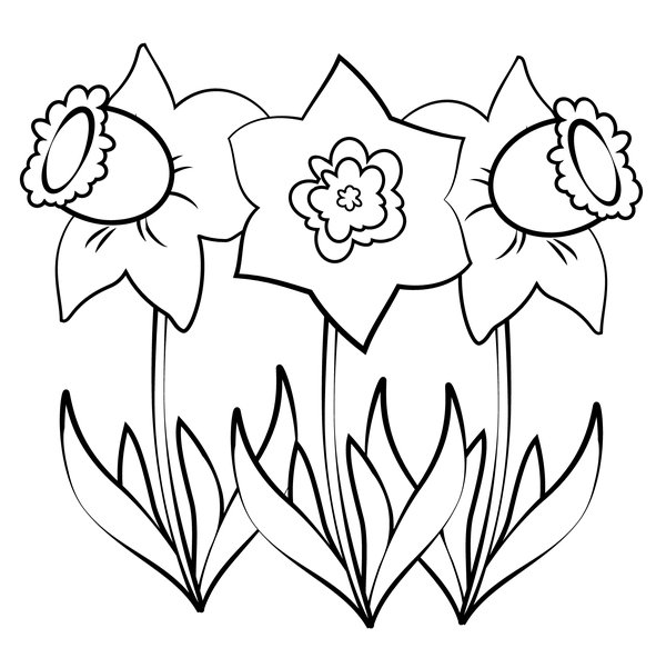 Coloring Page Spring Three Daffodils