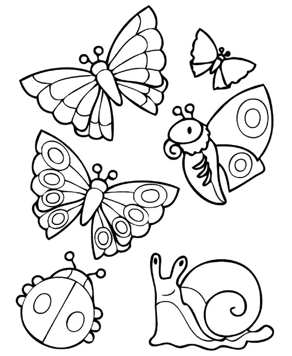 Coloring Page Various Spring Animals
