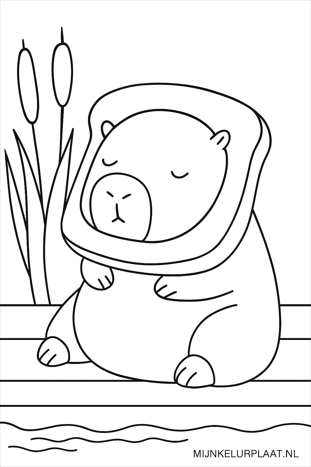 Please provide the Dutch text.