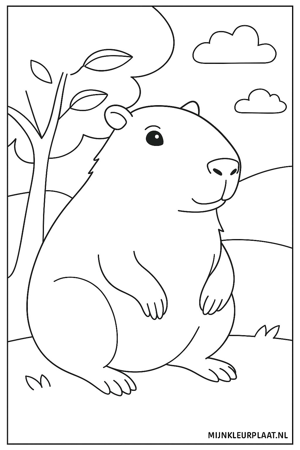 Please provide the Dutch text you would like translated.