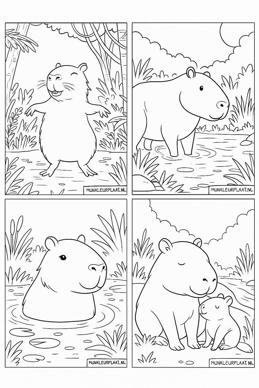 Please provide the Dutch text.