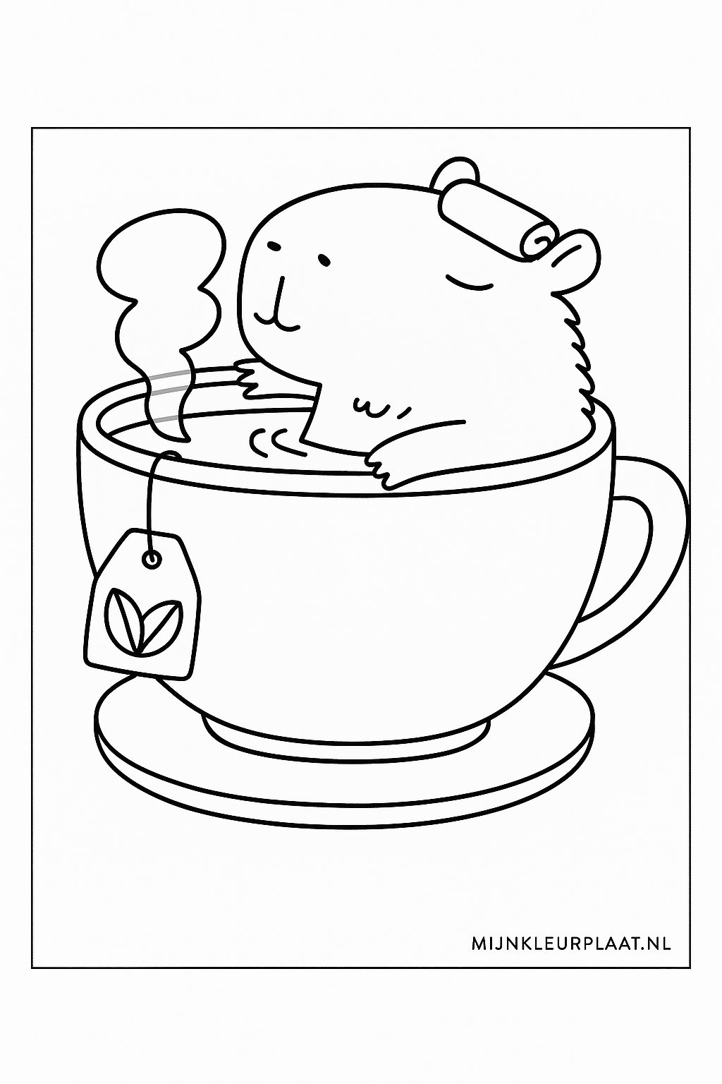 Please provide the Dutch text you would like translated.