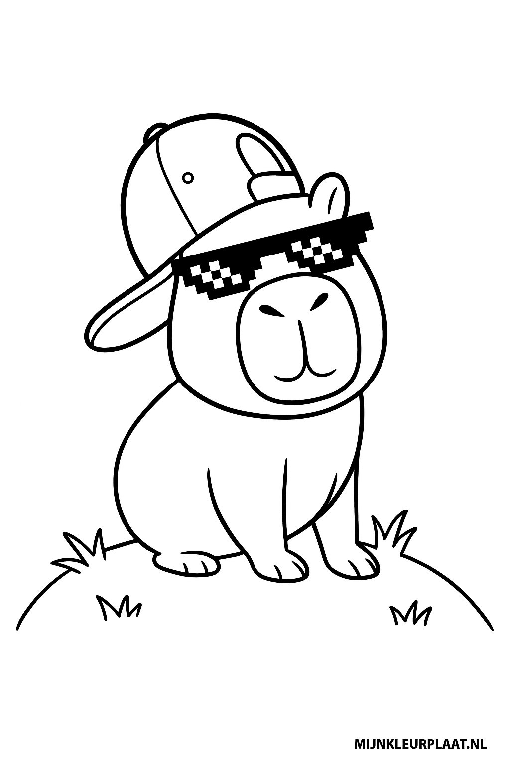 Please provide the Dutch text.