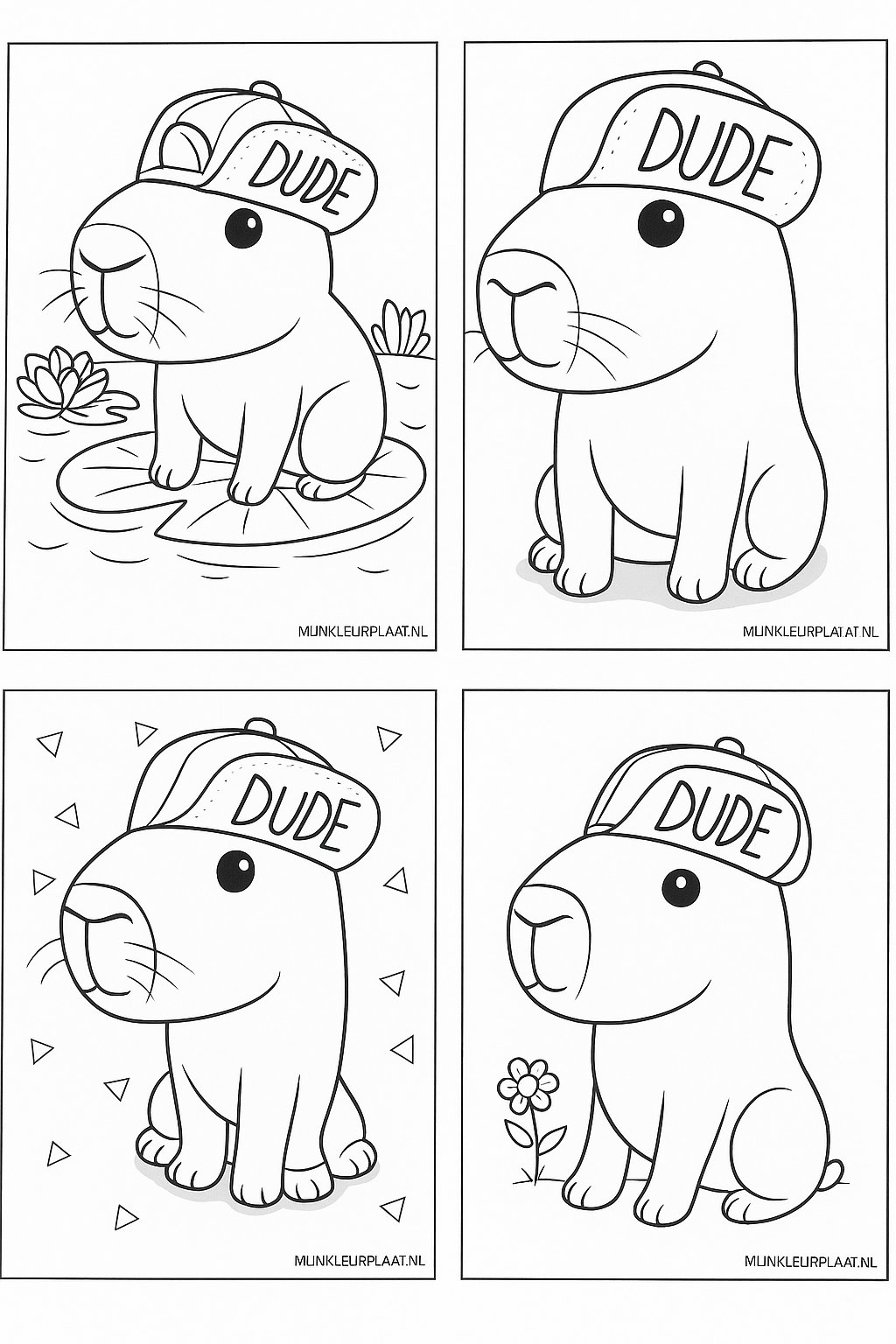 Please provide the Dutch text you would like translated.