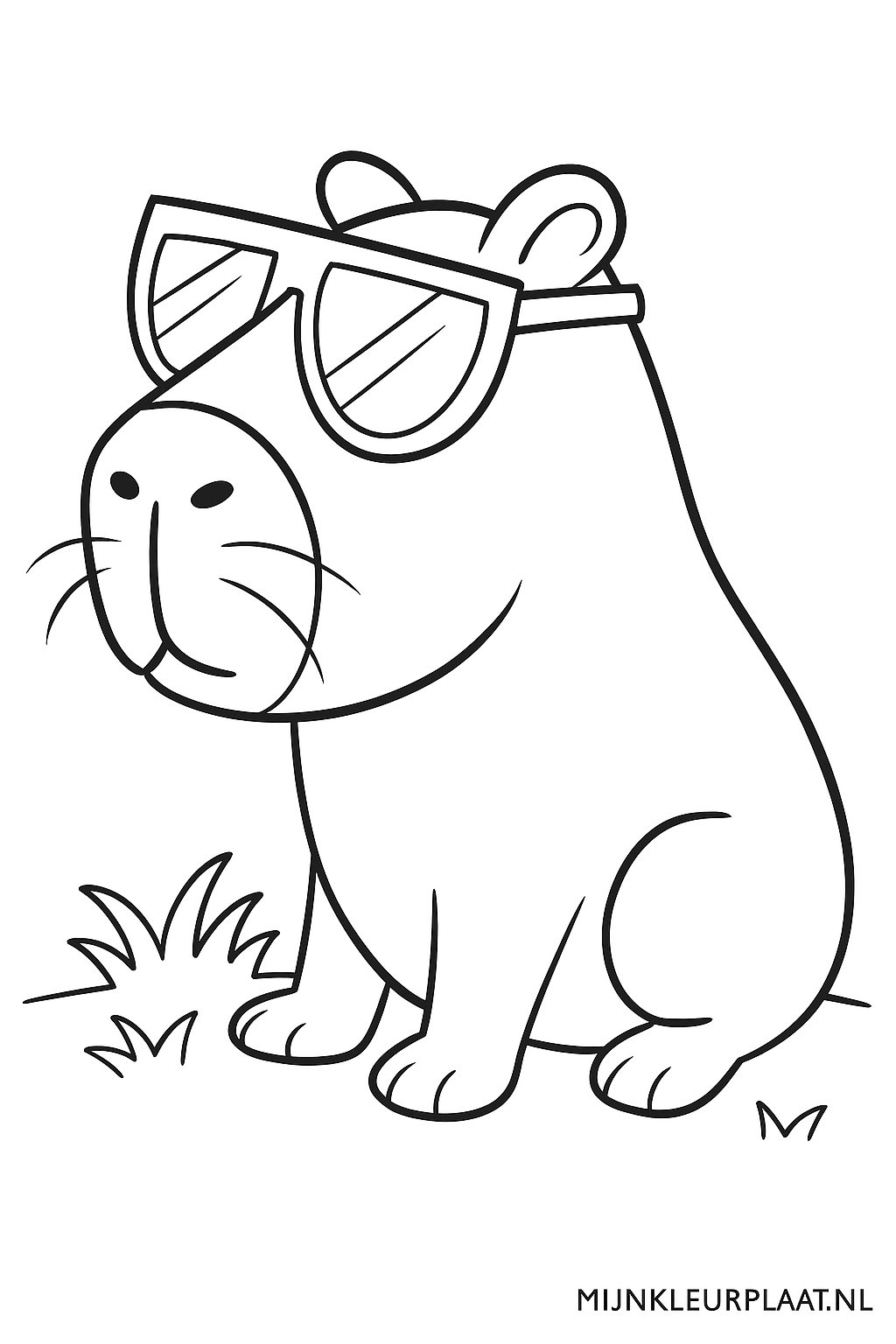 Please provide the Dutch text you would like translated.